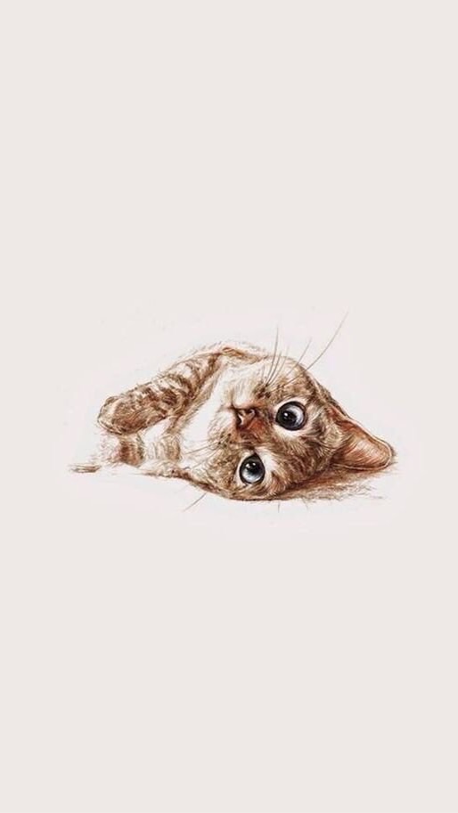 貓貓聊天群ฅ^•ﻌ•^ฅ