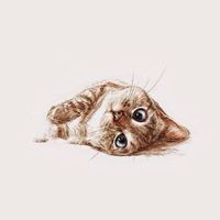 貓貓聊天群ฅ^•ﻌ•^ฅ