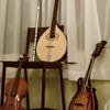 東京都立大アイリッシュ音楽研究会 新歓