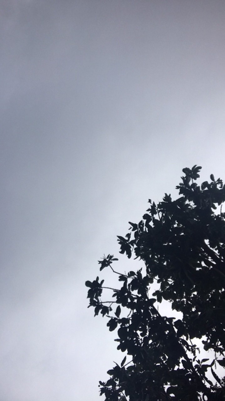 汪汪隊立大功.