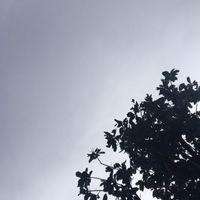 汪汪隊立大功.