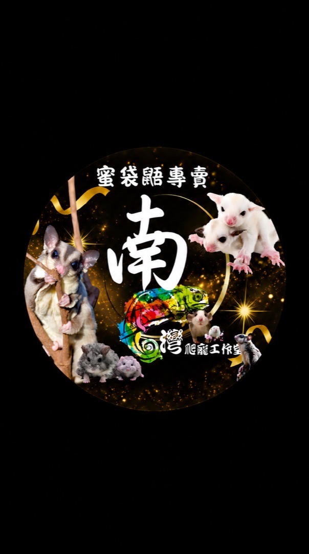 🌈南爬灣爬寵工作室✨特寵專賣✨蜜袋鼯 狐朦 花枝鼠 鸚鵡