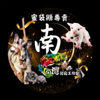 🌈南爬灣爬寵工作室✨特寵專賣✨蜜袋鼯 狐朦 花枝鼠 鸚鵡