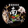 🌈南爬灣爬寵工作室✨特寵專賣✨蜜袋鼯 狐朦 花枝鼠 鸚鵡