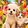 🐾リリ＆もみじのわくわく企画ルーム