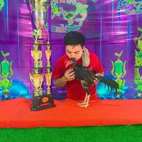 ซุ้ม ส.ริกาทอง 🐓 พม่าเลือดมังกร 🐲