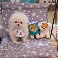 🐾澎澎毛健康俱樂部🐾