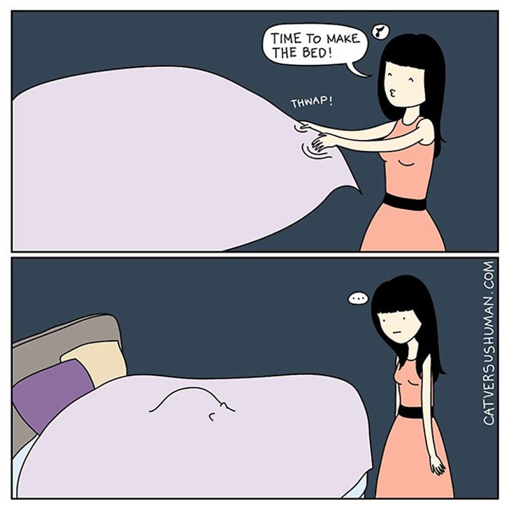 貓奴們必懂！20張與貓生活日常漫畫：半夜不睡覺，早上吃罐罐！