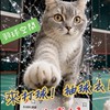 羽球空間 週三～週六 (ALLIN花壇館)