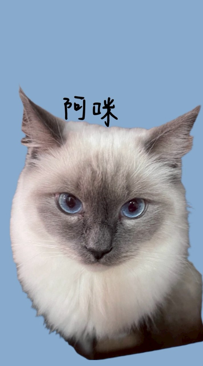 魚魚米團