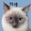 魚魚米團