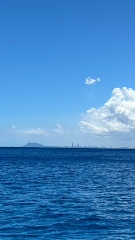 剁手哥房地產/股市/匯市研究小組