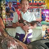 ซุ้มลำปาง 19