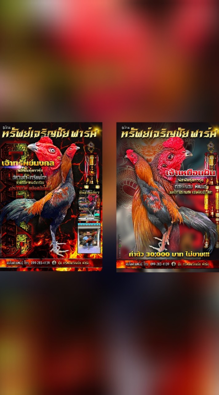 ซุ้ม ช.เฉลิมขัย มังกรแดนอีสาน (อุบลราชธานี) ซุ้มทรัพย์เจริญชัย