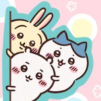 哈尼的小小代購