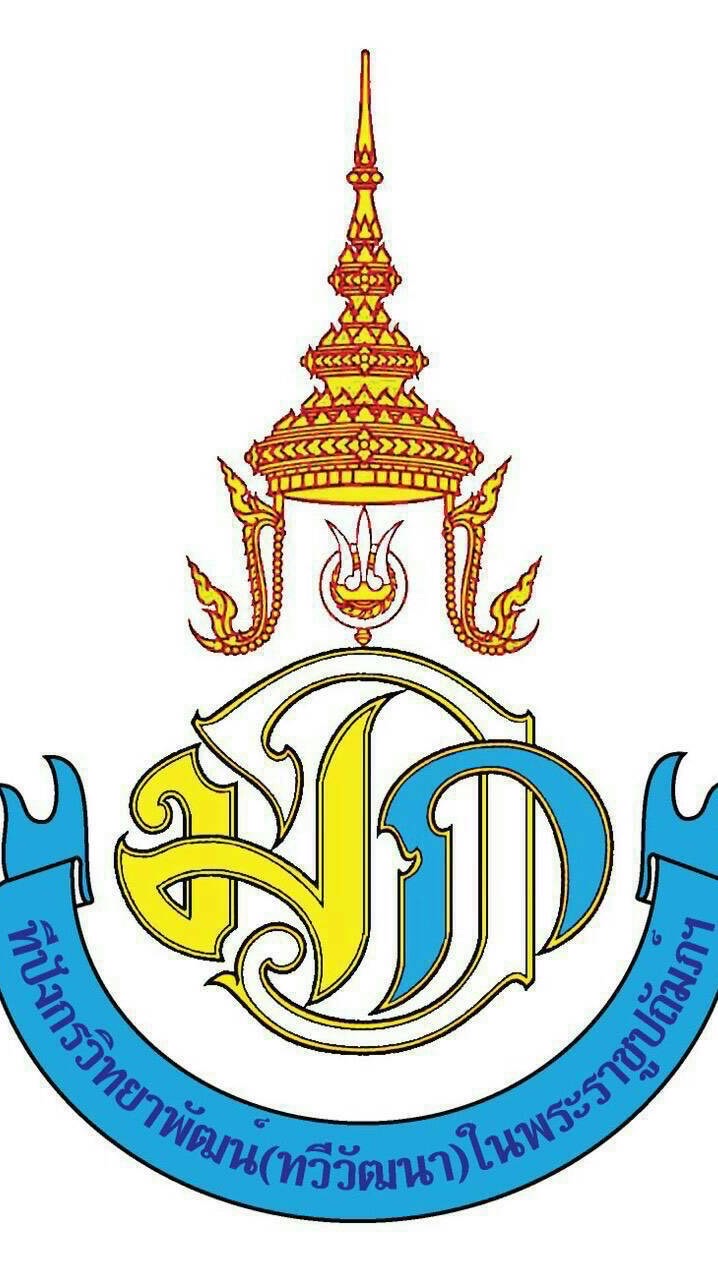 PE DP3 CUP ครั้งที่ 2