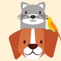 Asia Farm Pet Shop