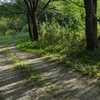 【カーパ】雑談部屋(なす)