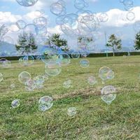 シャボ活予報🫧