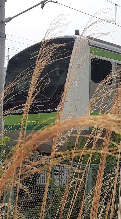 大野鉄道研究部のオープンチャット