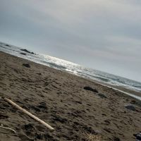 山！川！海で遊びましょー(≧∇≦)b