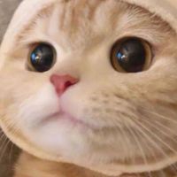 กลุ่มลูกม๊าแก้วเมี๊ยว~🍧🐱