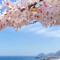 しりとり大海