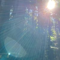 パワー✨ポジティブ✨エネルギーをもらえる写真の部屋です💫シェアしましょう⭐️