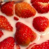 ชาวสตอเบอร์รี่ตัวจิ๋ว🍓