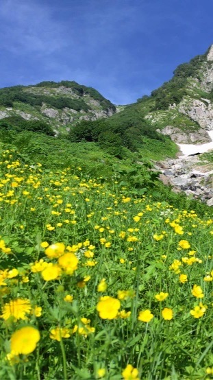 日帰り山登り（首都圏近郊）