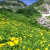 日帰り山登り（首都圏近郊）