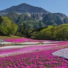 日帰り山登り（首都圏近郊）