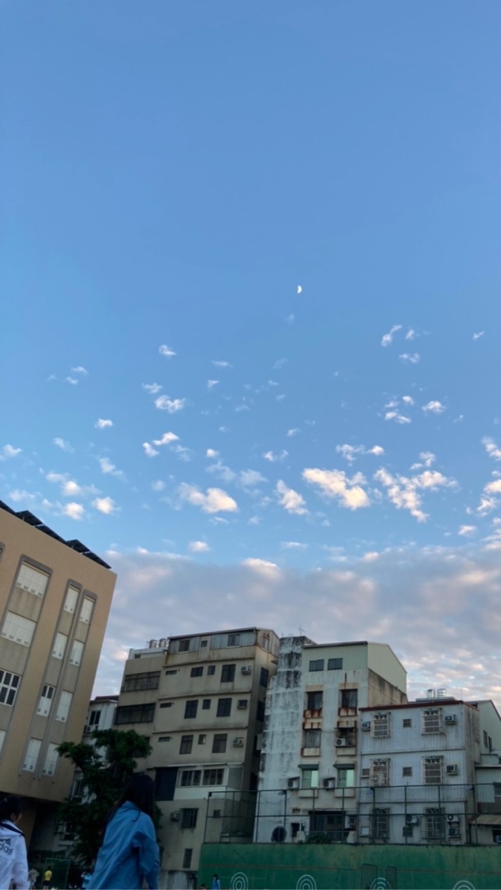越南心跳在臺灣