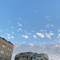 越南心跳在臺灣