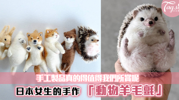 手工製品真的得值得我們欣賞呢~日本女生的手作「動物羊毛氈」，每一款都好可愛呢！