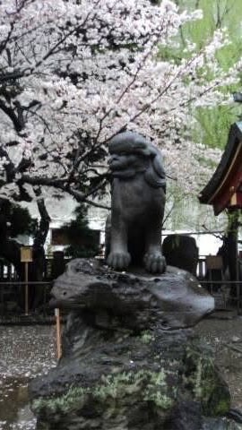 สูตินรีเวช แพทย์ผู้ชาย