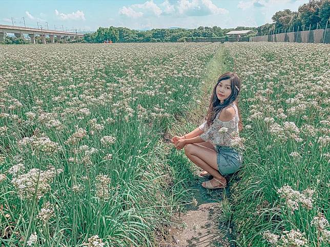 ▲北斗韭菜田。（圖/IG@abcd10082 )