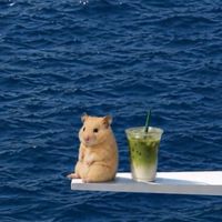 池ポンのオプちゃん！