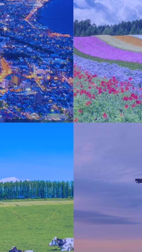 北海道社員旅行ルーム
