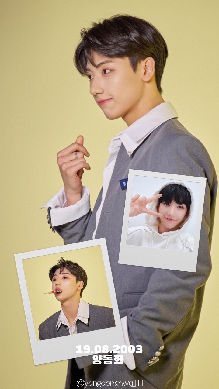 OpenChat yangdonghwa_TH🐾