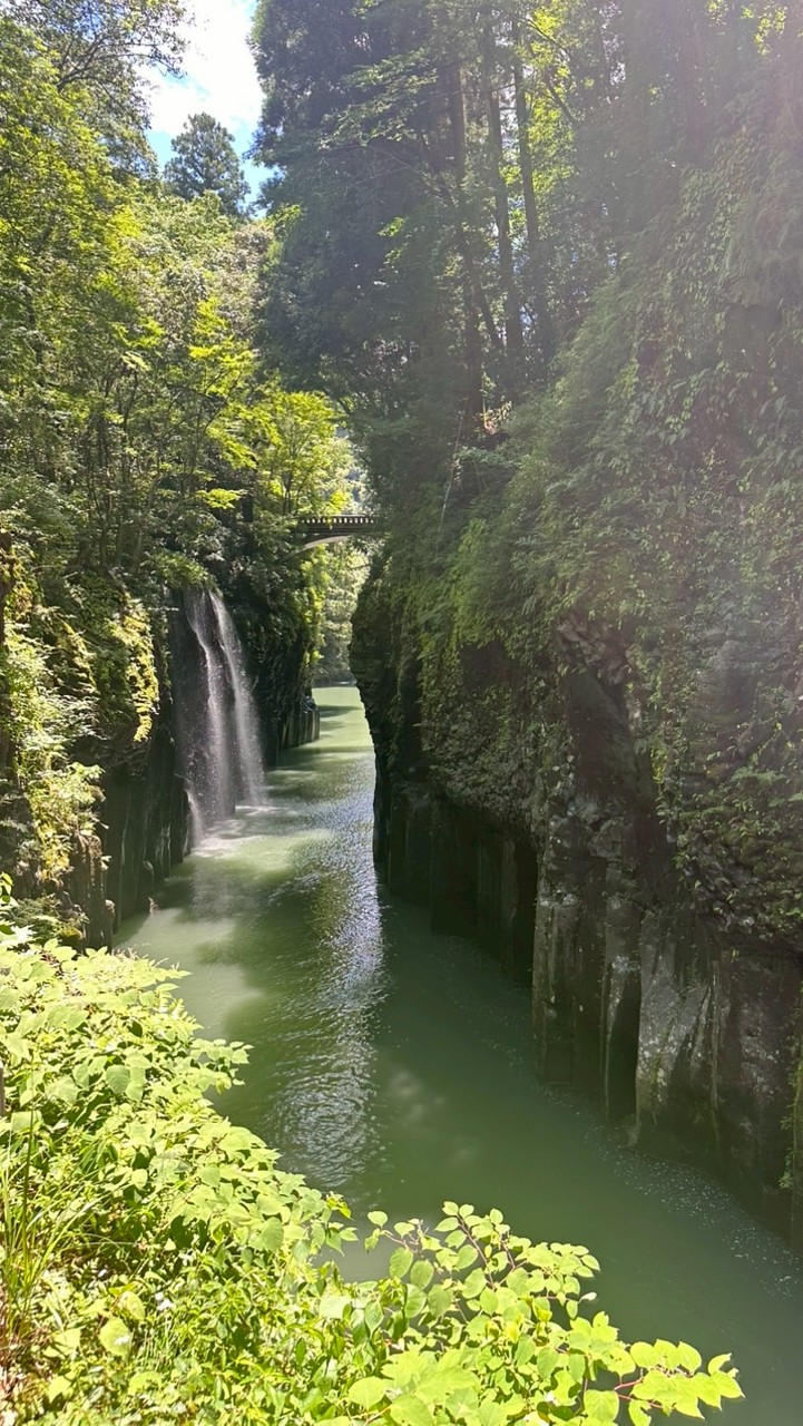Viの居家好物團購分享