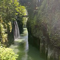 Viの居家好物團購分享