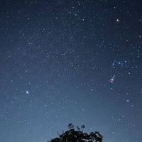 115雅韻二胡