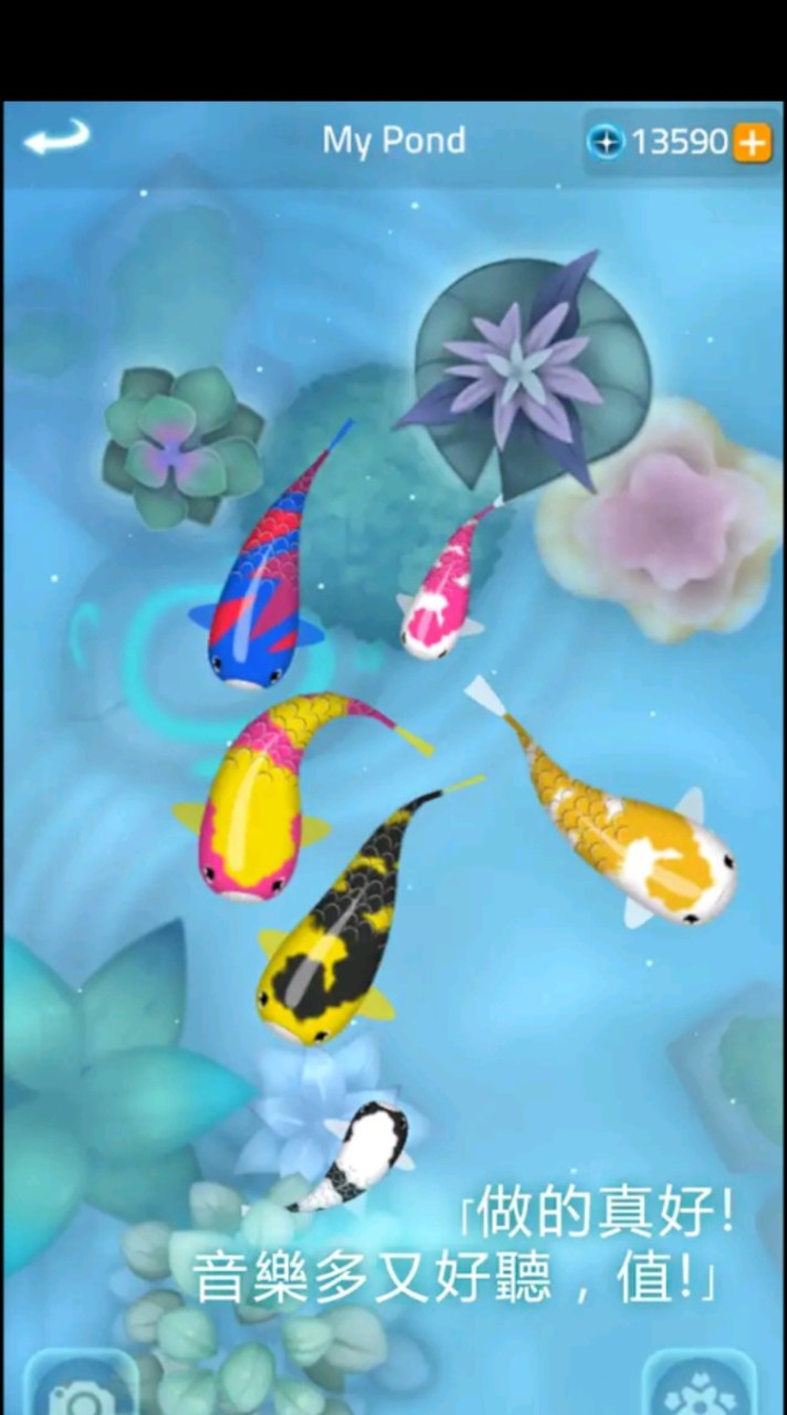 鯉魚禪