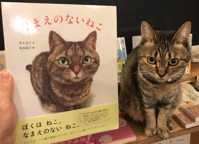 猫書店 23