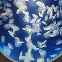 電商聯盟社群－討論區