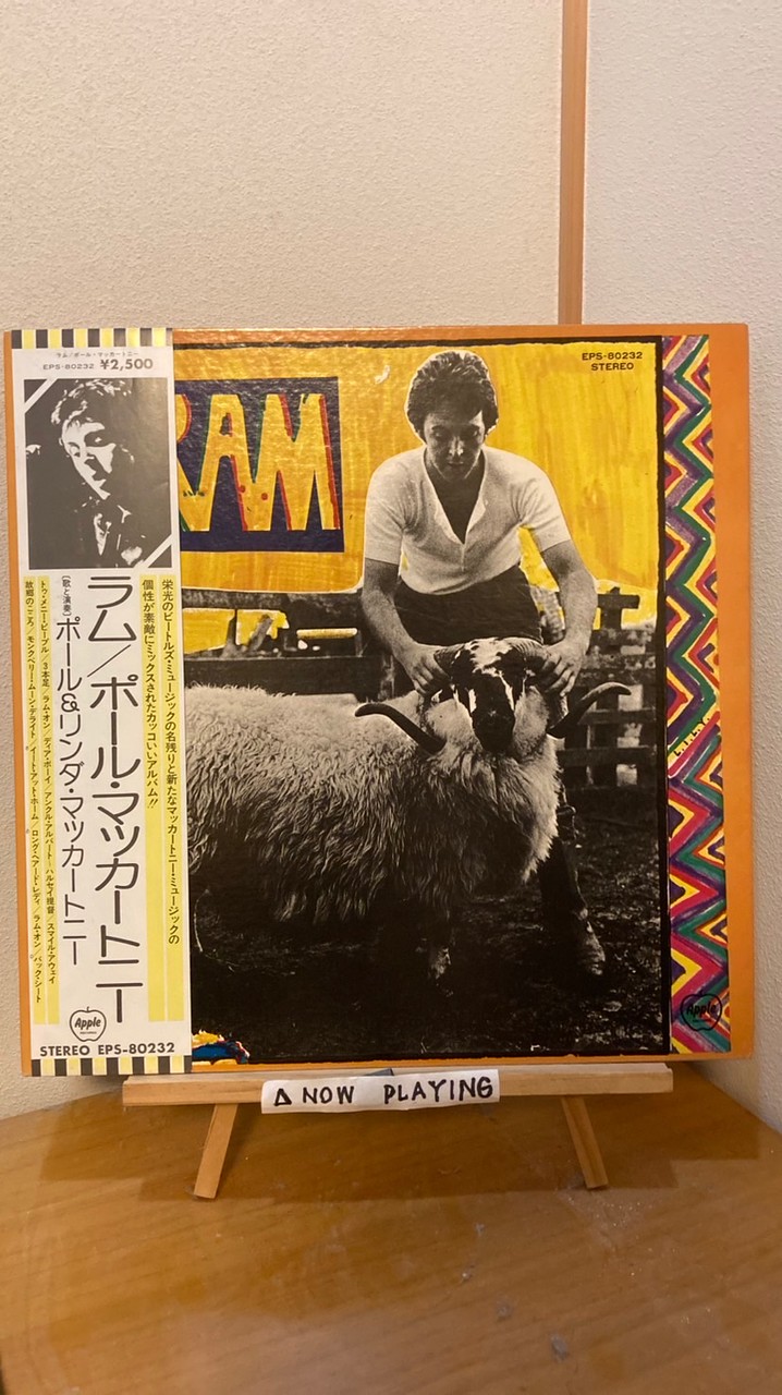 学生限定レコード好きの会