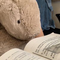 Jellycat代購團