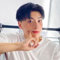 桑尼的小鴨們