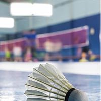 洋²羽球訓練D班🏸